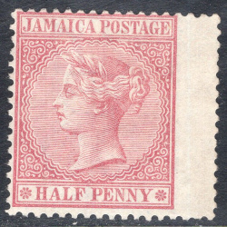 JAMAICA SCOTT 13
