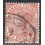 JAMAICA SCOTT 29