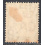 JAMAICA SCOTT 37