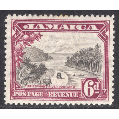 JAMAICA SCOTT 108