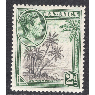 JAMAICA SCOTT 119