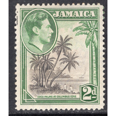 JAMAICA SCOTT 119