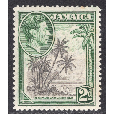 JAMAICA SCOTT 119