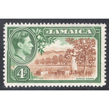 JAMAICA SCOTT 122
