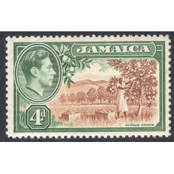 JAMAICA SCOTT 122