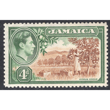 JAMAICA SCOTT 122