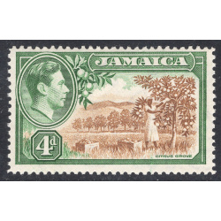 JAMAICA SCOTT 122