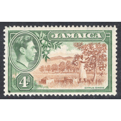 JAMAICA SCOTT 122