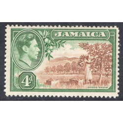 JAMAICA SCOTT 122