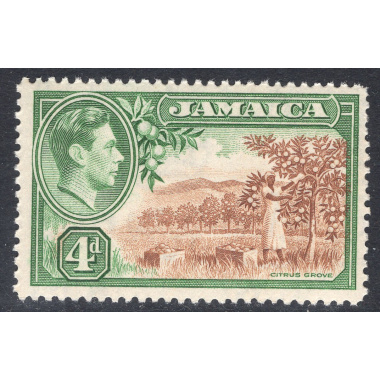 JAMAICA SCOTT 122