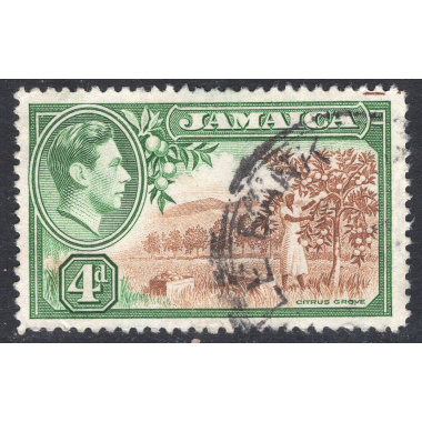JAMAICA SCOTT 122