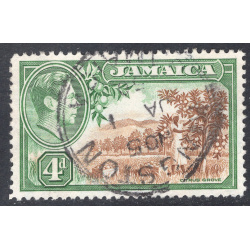 JAMAICA SCOTT 122