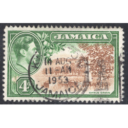 JAMAICA SCOTT 122