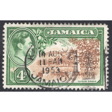 JAMAICA SCOTT 122