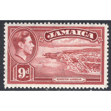 JAMAICA SCOTT 124