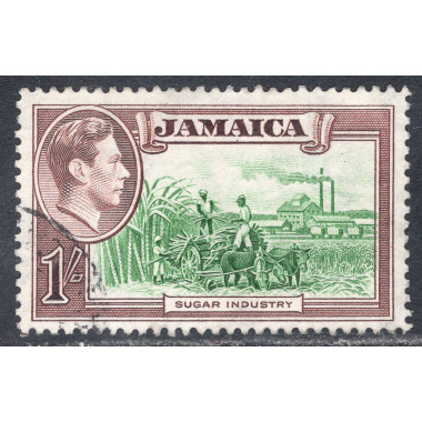 JAMAICA SCOTT 125