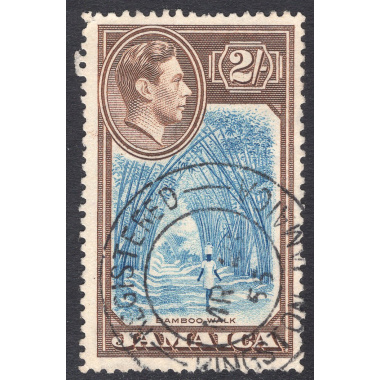 JAMAICA SCOTT 126