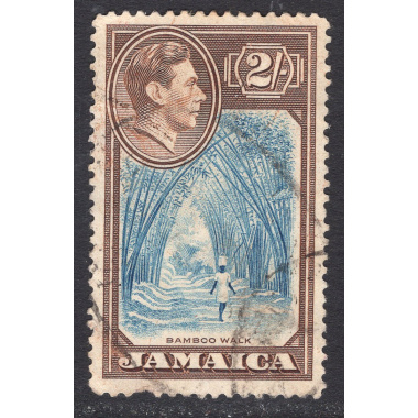 JAMAICA SCOTT 126