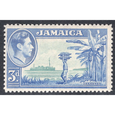 JAMAICA SCOTT 140