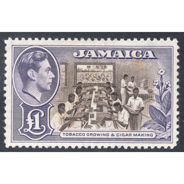 JAMAICA SCOTT 141