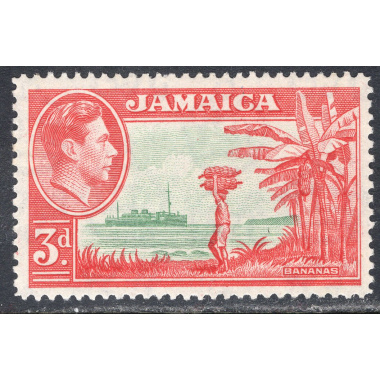 JAMAICA SCOTT 152