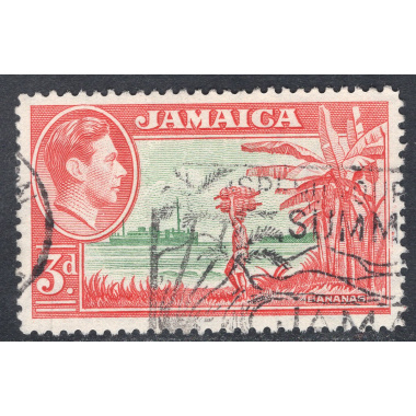 JAMAICA SCOTT 152