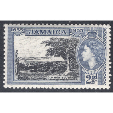 JAMAICA SCOTT 156