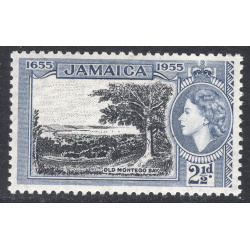 JAMAICA SCOTT 156