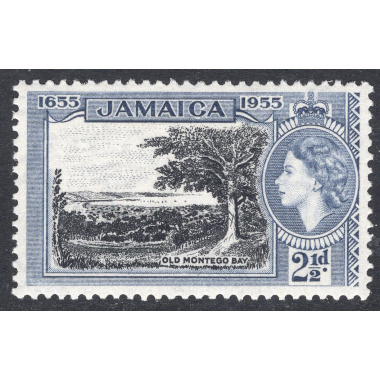 JAMAICA SCOTT 156
