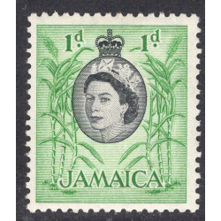 JAMAICA SCOTT 160