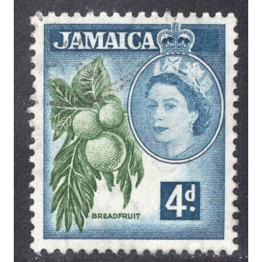 JAMAICA SCOTT 164