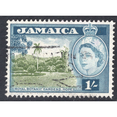JAMAICA SCOTT 168