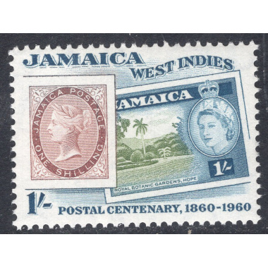 JAMAICA SCOTT 180