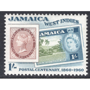 JAMAICA SCOTT 180