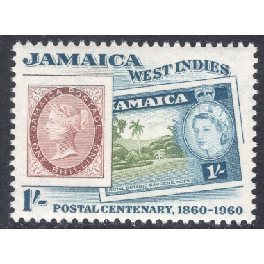 JAMAICA SCOTT 180