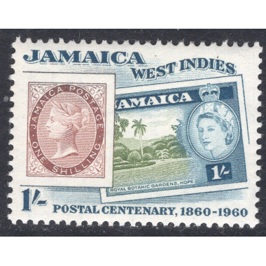 JAMAICA SCOTT 180