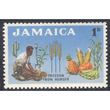 JAMAICA SCOTT 201