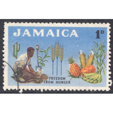 JAMAICA SCOTT 201