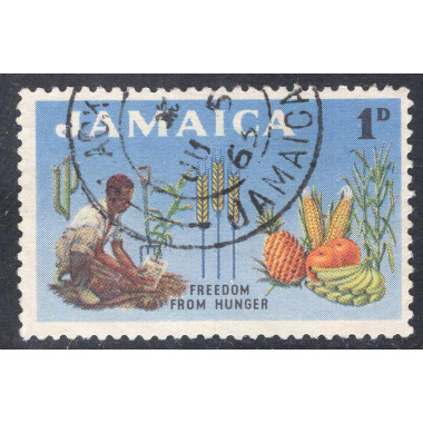 JAMAICA SCOTT 201