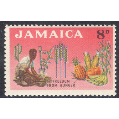 JAMAICA SCOTT 202
