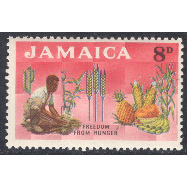 JAMAICA SCOTT 202