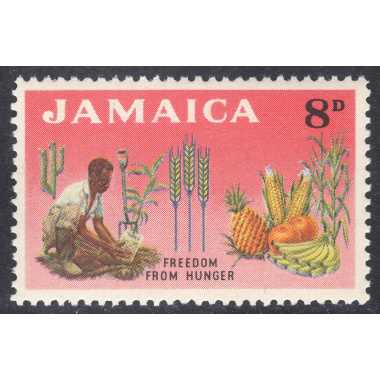 JAMAICA SCOTT 202