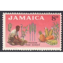 JAMAICA SCOTT 202
