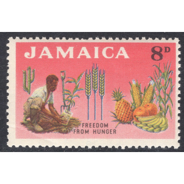 JAMAICA SCOTT 202