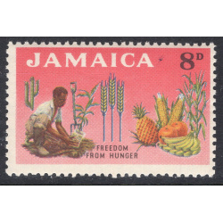 JAMAICA SCOTT 202