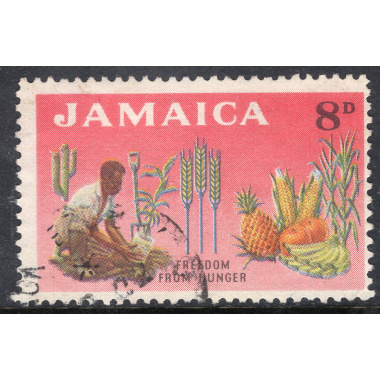 JAMAICA SCOTT 202