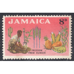 JAMAICA SCOTT 202