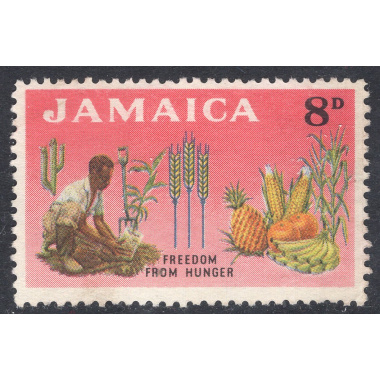 JAMAICA SCOTT 202