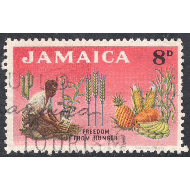 JAMAICA SCOTT 202