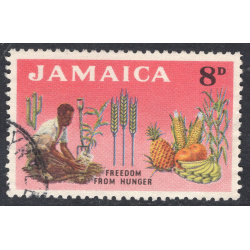 JAMAICA SCOTT 202